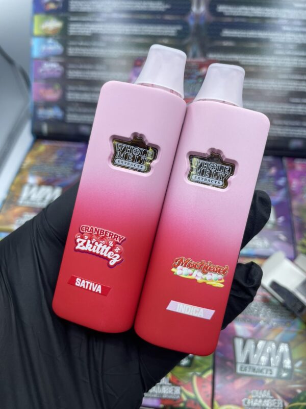 PHASE 2: Dual Chamber - Image 2