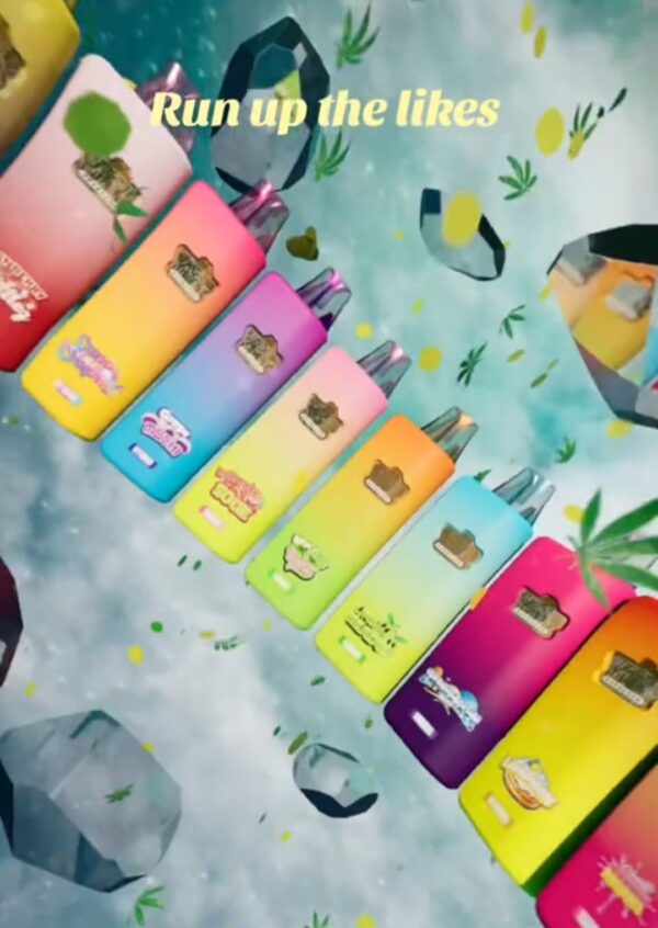 Whole Melts Extracts – 2g Double Chamber Disposables (100 pack) - Image 2